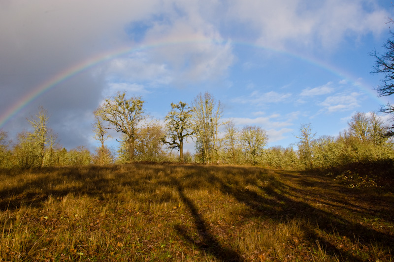 Rainbow Over Hillside